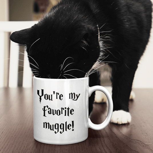 Чаша You're My Favourite Muggle