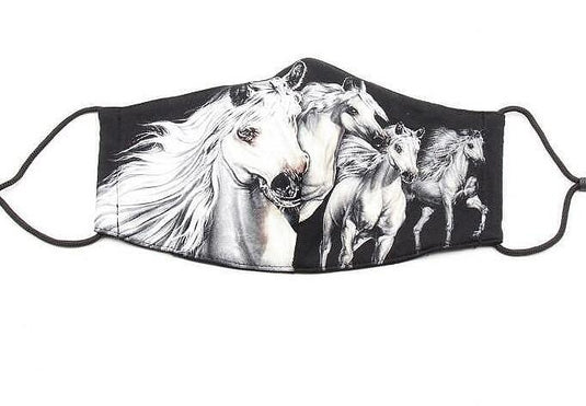 Rock Chang Reusable Mask Wild Horses M-22